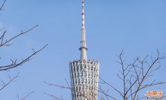 玩耍项目大致分为文娱取参不雅两大项